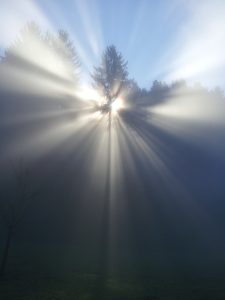 Innere und Äußere Welten - Jenseits der Gedanken